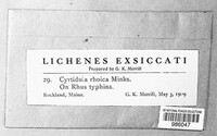 Image Associated With the Occurence
